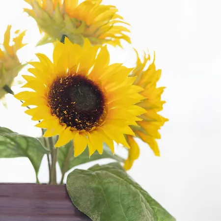 Ivica Appartamento *